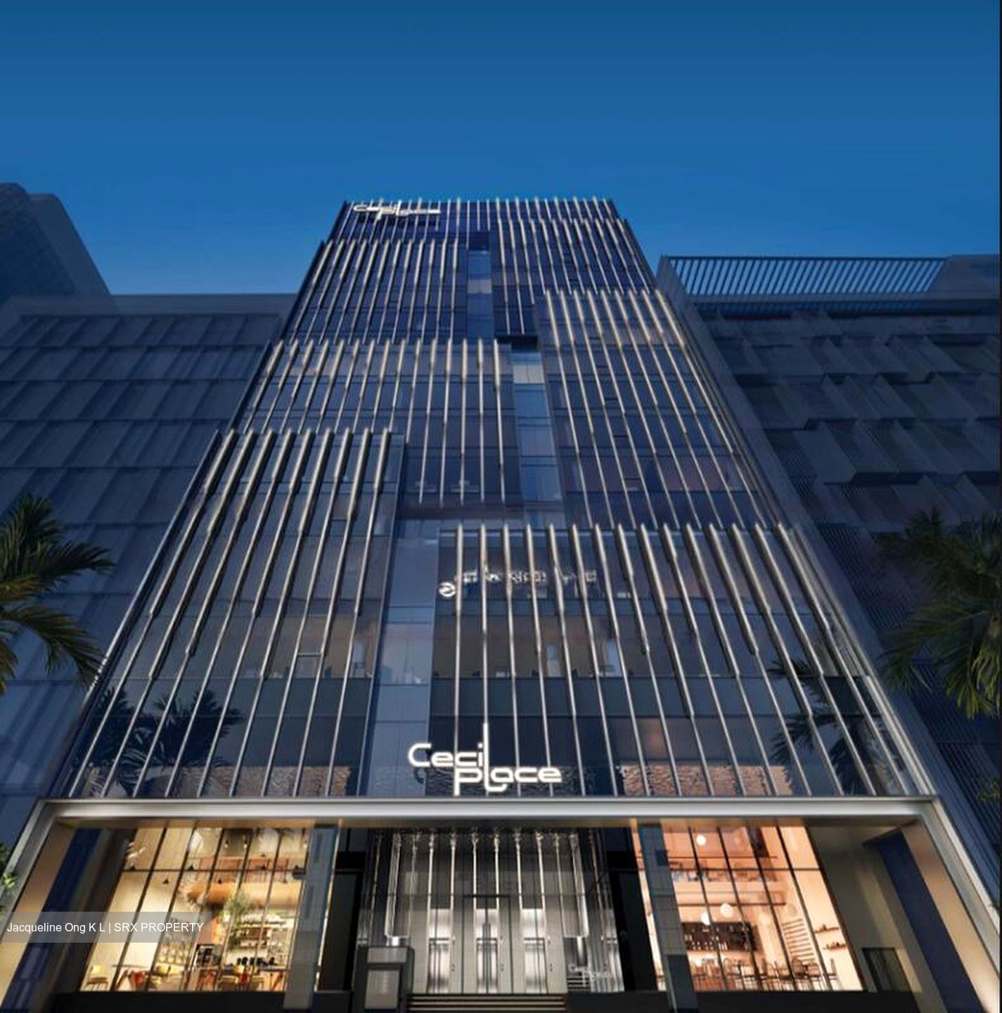 Cecil Suites (D1), Office #560325541